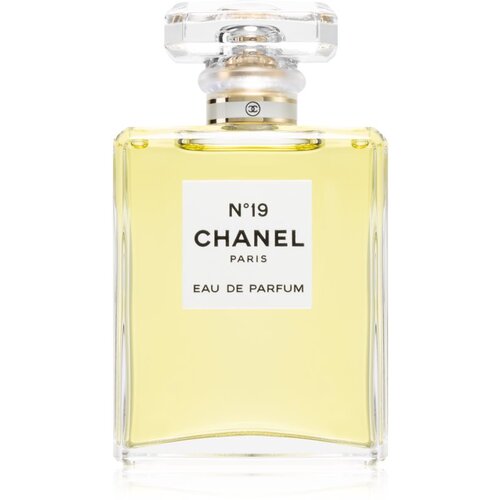 Chanel No. 19 parfumska voda 100 ml za ženske Cene