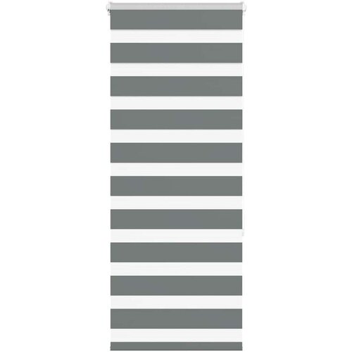 vidaXL Zebra senčilo temno sivo 55x150 cm tkanina širina 50,9 cm Cene