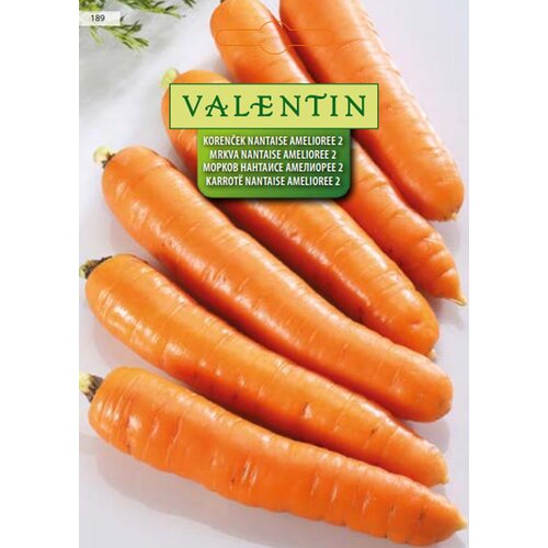 VALENTIN Sjeme povrća Mrkva Nantaise Amelioree 2 (Daucus carota L., Berba: Lipanj) Cijene