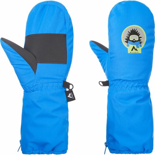 Mckinley rukavice za dečake za skijanje MAARON II MIT KDS plava 268044 Cene