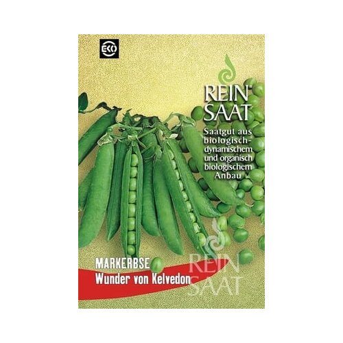 ReinSaat Grah "Kelvedonski čudež" Cene
