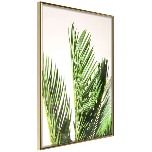  Poster - Rustling of Leaves 20x30 Slike