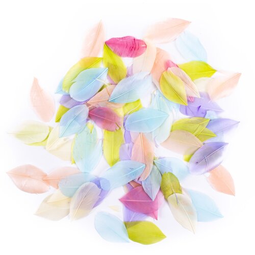  Dekorativno perje 6 cm - 5 g - Pastelno (gosje perje) Cene