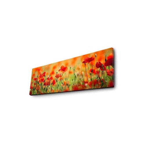 Shining Slika na platnu sa LED osvetljenjem 30x90cm Slike