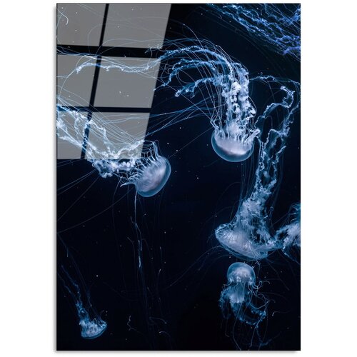 Wallity Steklena slika 70x100 cm Jelly Fish &amp;ndash; Wallity Slike