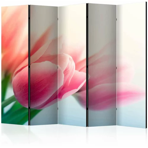  Paravan u 5 dijelova - Spring and tulips II [Room Dividers] 225x172