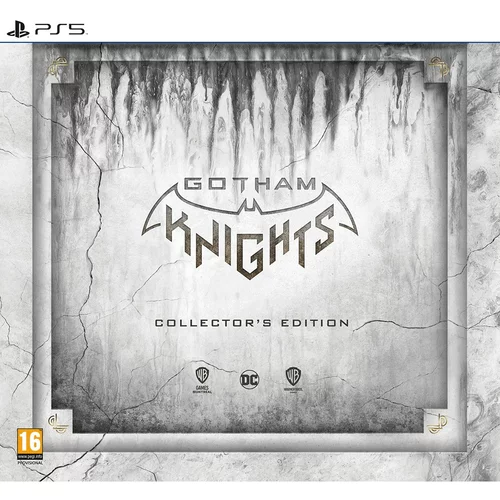 Warner Bros Interactive gotham knights collector edition PS5