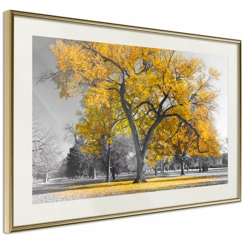  Poster - Golden Tree 45x30