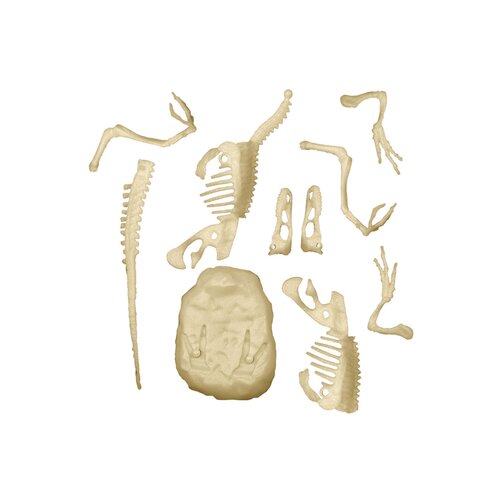 Clementoni archeofun svijetleći velociraptor (8005125501939) Slike