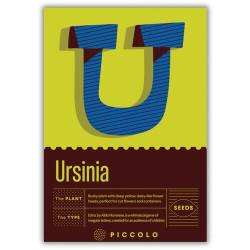 Piccolo Seeds U - Ursinia - ursinia - 1 pkt. Cene