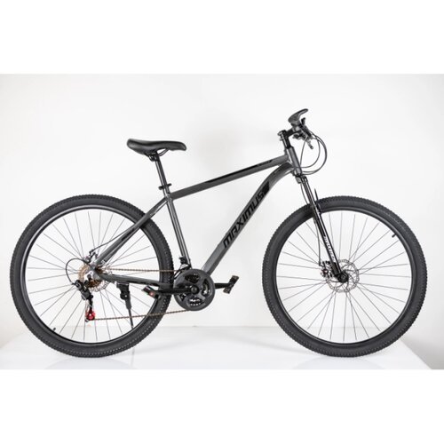Winner Bike Bicikle BIC. 29"/21 MAXIMUS GREY Cene