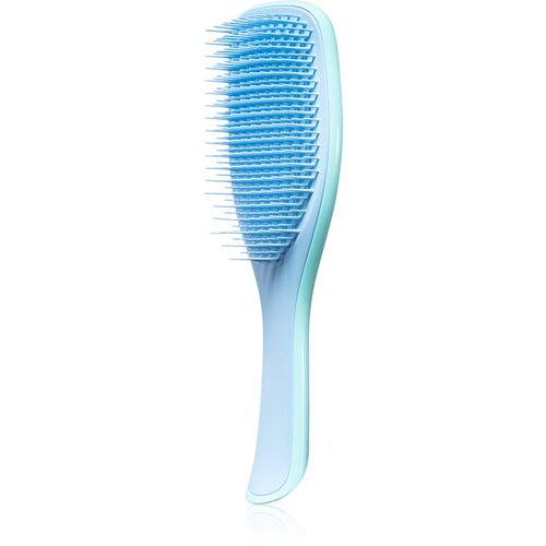 Tangle Teezer krtača za česanje mokrih las The Wet Detangler, Black Cene