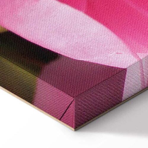 Slika - Blossom of Beauty (1-part) - Pink Peony Flower Embraced by Nature 40x60 Slike