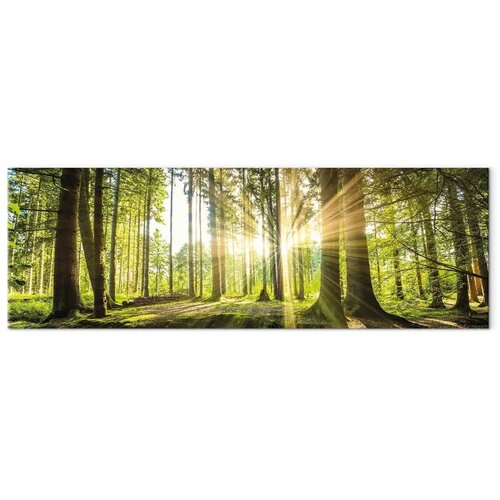  Slika - Daylight 120x40 Standard Slike