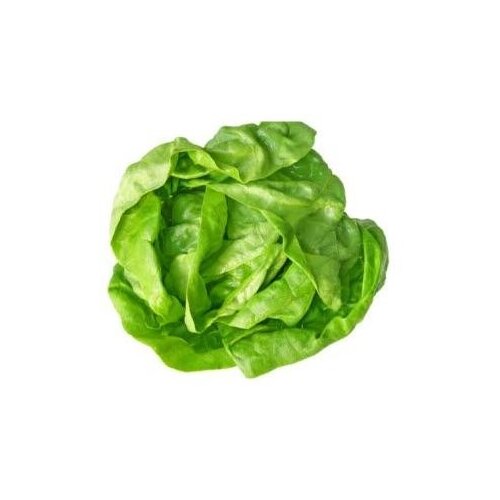 Nepoznato Zelena salata 1kg Cene