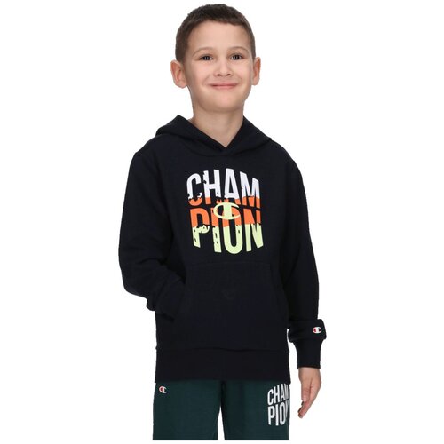Champion Hooded sweatshirt Cene