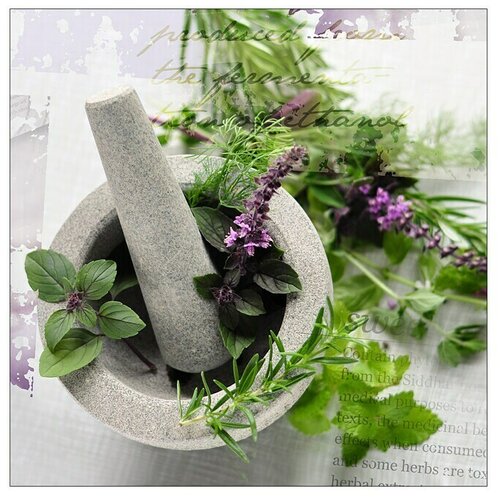 ProArt Slika na platnu Konventionel (Herbage Pestle II, &amp;Scaron; x V: 30 x 30 cm) Slike