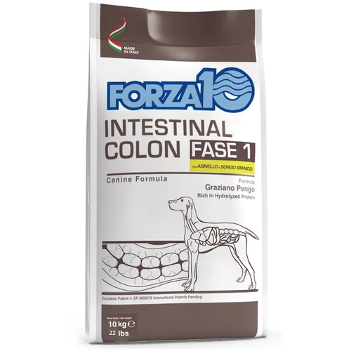 Forza10 Active Line Dog Forza 10 Intestinal Colon Phase 1 z jagnjetino - Varčno pakiranje: 2 x 10 kg