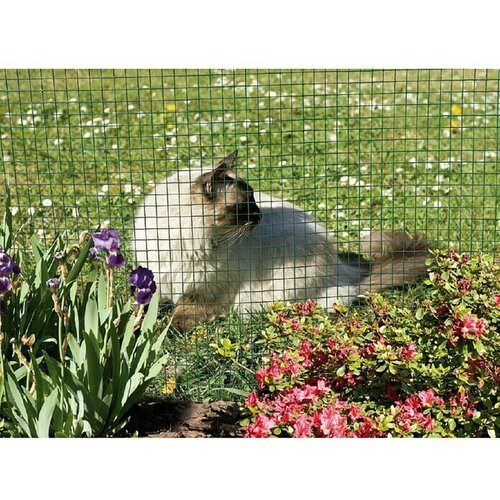 Nortene mrežasta ograda fensanet plast 06 (5 x 1 m, zelene boje) Slike