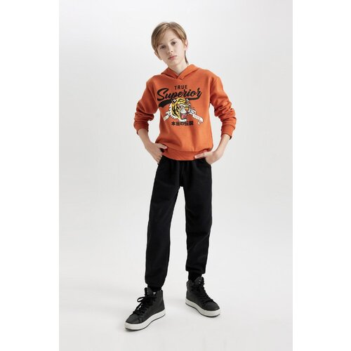  Boy Tiger Printed Hooded Thick Sweatshirt Elastic Waist Jogger Tracksuit Bottoms 2-Piece Set D3 Cene