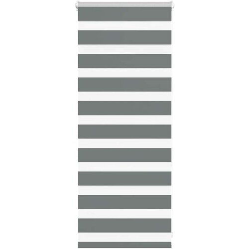 vidaXL Zebra senčilo temno sivo 60x100 cm tkanina širina 55,9 cm Cene
