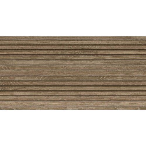 Argenta studio walnut 60x120cm Cene
