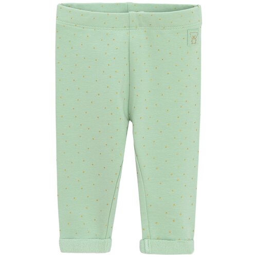 Cool club pajkice DH CCG2701654 D zelena 62 Cene