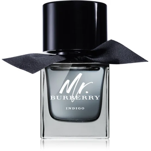 Burberry Mr. Indigo toaletna voda za moške 50 ml