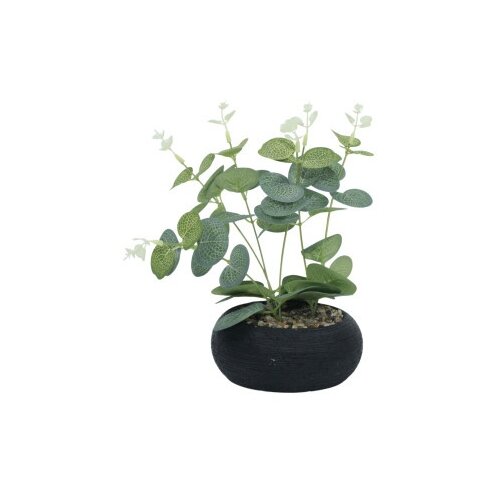 Dekordom Cvet u saksiji florens - n58 ( 025188 ) Cene