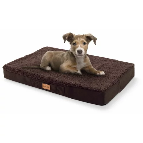 brunolie Balu, pasja postelja, blazina za psa, pralna, ortopedska, protizdrsna, zračna spominska pena, velikost S (72 × 8 × 50 cm)
