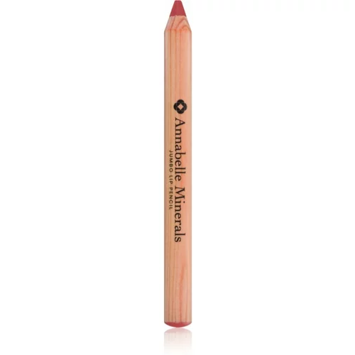 Annabelle Minerals Jumbo Lip Pencil kremasti svinčnik za ustnice odtenek Dahlia 3 g