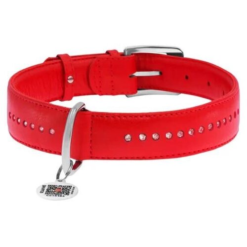 CLR WD Crvena A2202572-Ogrlica za pse 27–36 cm Cene