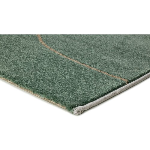 Universal Zelena preproga 120x170 cm Edesa &amp;ndash; Slike