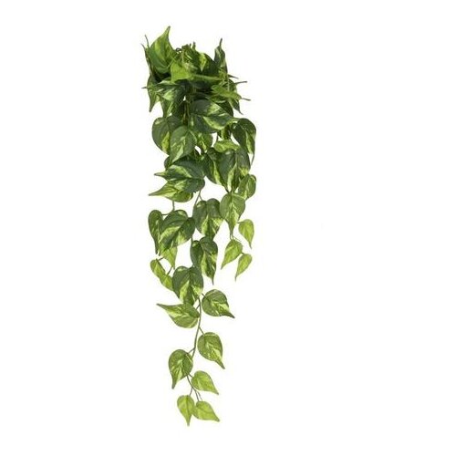  CVIJEĆE POTUS 80 CM PVC Cijene