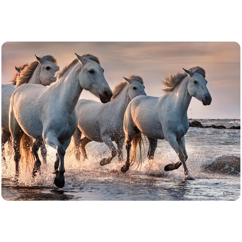 Tts Stona mapa 60×40 Animal 5S Cijene