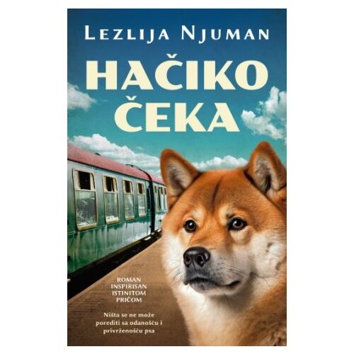 Hačiko čeka Slike