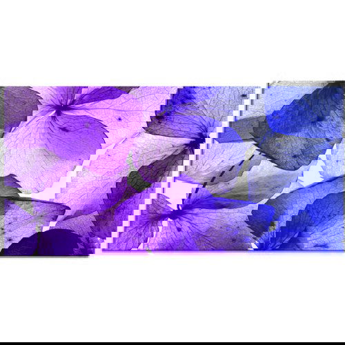 Pintdecor Zidni ukras Petali Cene