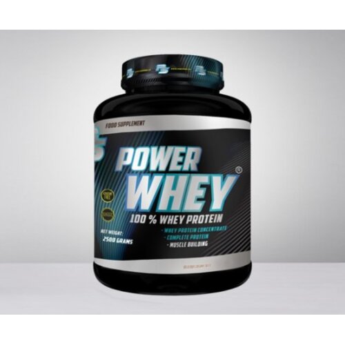 Pansport PAN Protein Power Whey, Jagoda, 2,5kg Cene