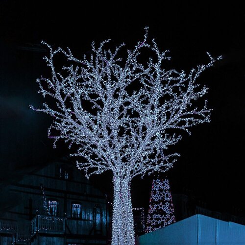  Božićne LED lampice &amp;ndash; 400 lampica, hladno bijela Slike
