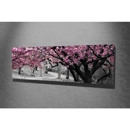 WALLXPERT PC017 Višenamensko Dekorativno Platno Cene