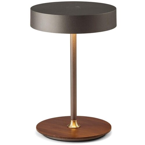 Halo Design 745791- LED prigu&amp;scaron;iva punjiva lampa ON THE MOVE LED/2,5W/4000 mAh siva/drvo Slike