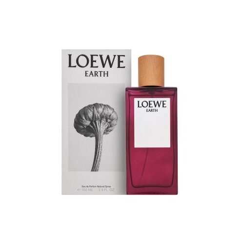 Parfem Earth parfumirana voda unisex 100 ml Cene