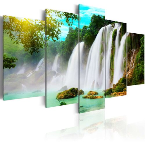  Slika - Nature's miracle 200x100 Cijene