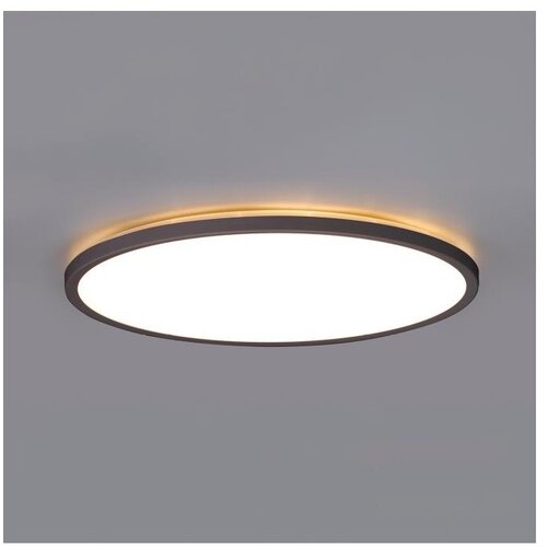  LED plafonsko svetlo za kupatilo NIVERA LED/32W/230V IP54 fi 42 cm crno Cene