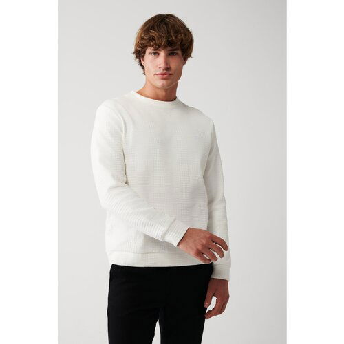 Avva Men's Ecru Crew Neck Cotton Jacquard Standard Fit Regular Fit Sweatshirt Slike