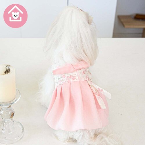INF Korean Style Pet Hanbok Dress - Udobna in elegantna obleka za mačke in pse Pink L, (5000078541) Cene
