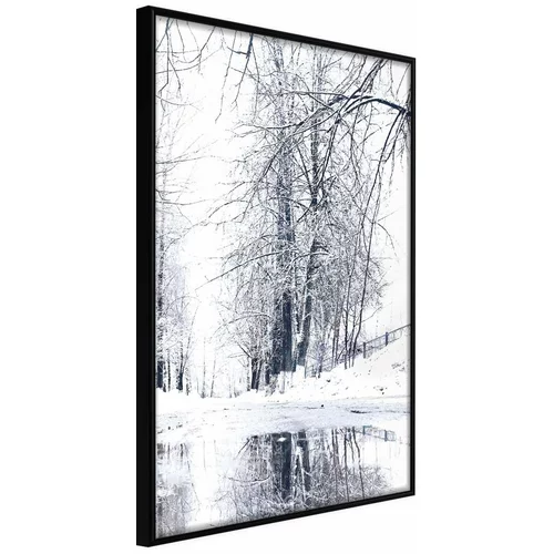  Poster - Snowy Park 40x60