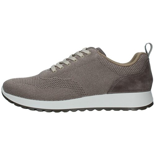 IgI&amp;amp;CO 3627222 Bež Slike
