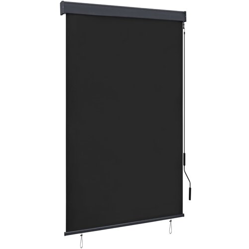 vidaXL Vanjska roleta 120 x 250 cm antracit Cijene