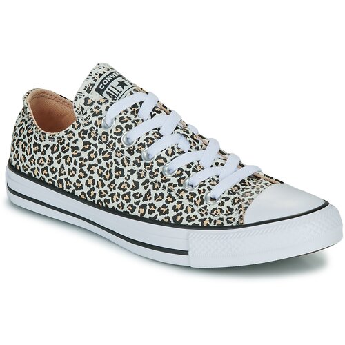 Converse CHUCK TAYLOR ALL STAR Smeđa Slike